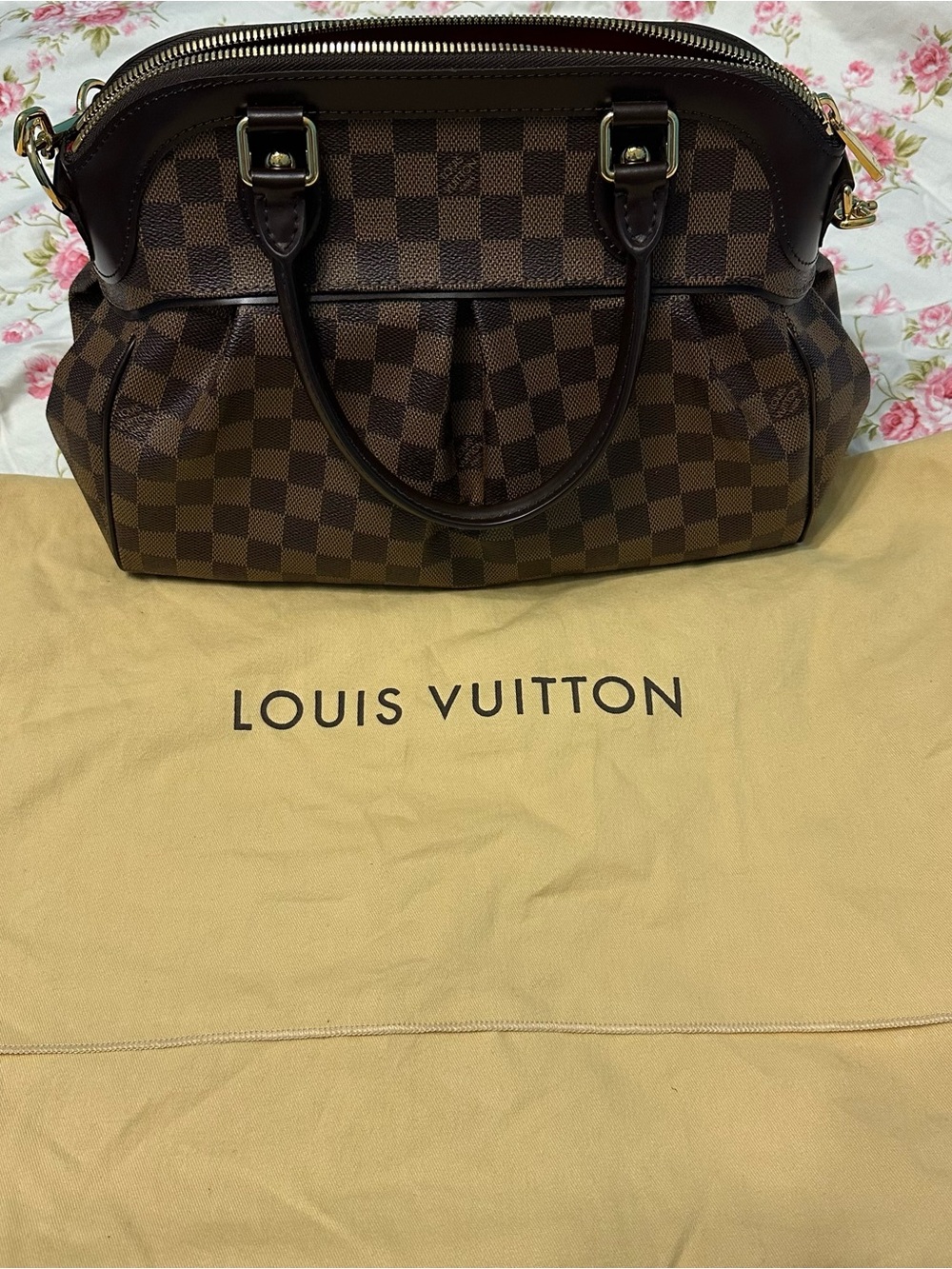 Louis Vuitton Brown Damier Ebene Satchel with Gold Hardware